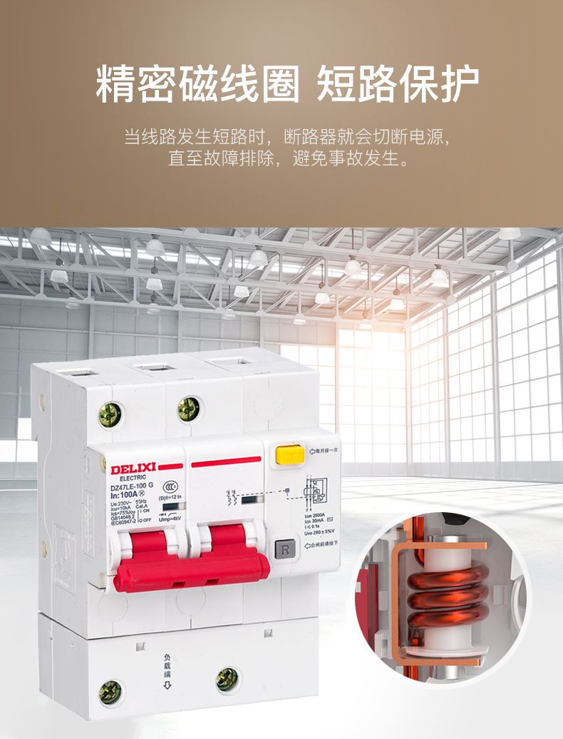 德力西大功率漏電開關(guān)DZ47LE 2P-100A/125A D型漏電斷路器 兩相大功率漏電保護器 2極漏電開關(guān)