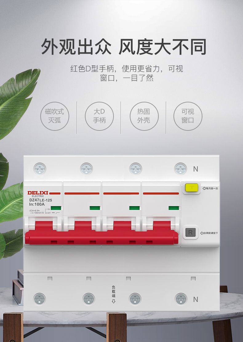 德力西大功率漏電開關(guān)DZ47LE 2P-100A/125A D型漏電斷路器 兩相大功率漏電保護器 2極漏電開關(guān)
