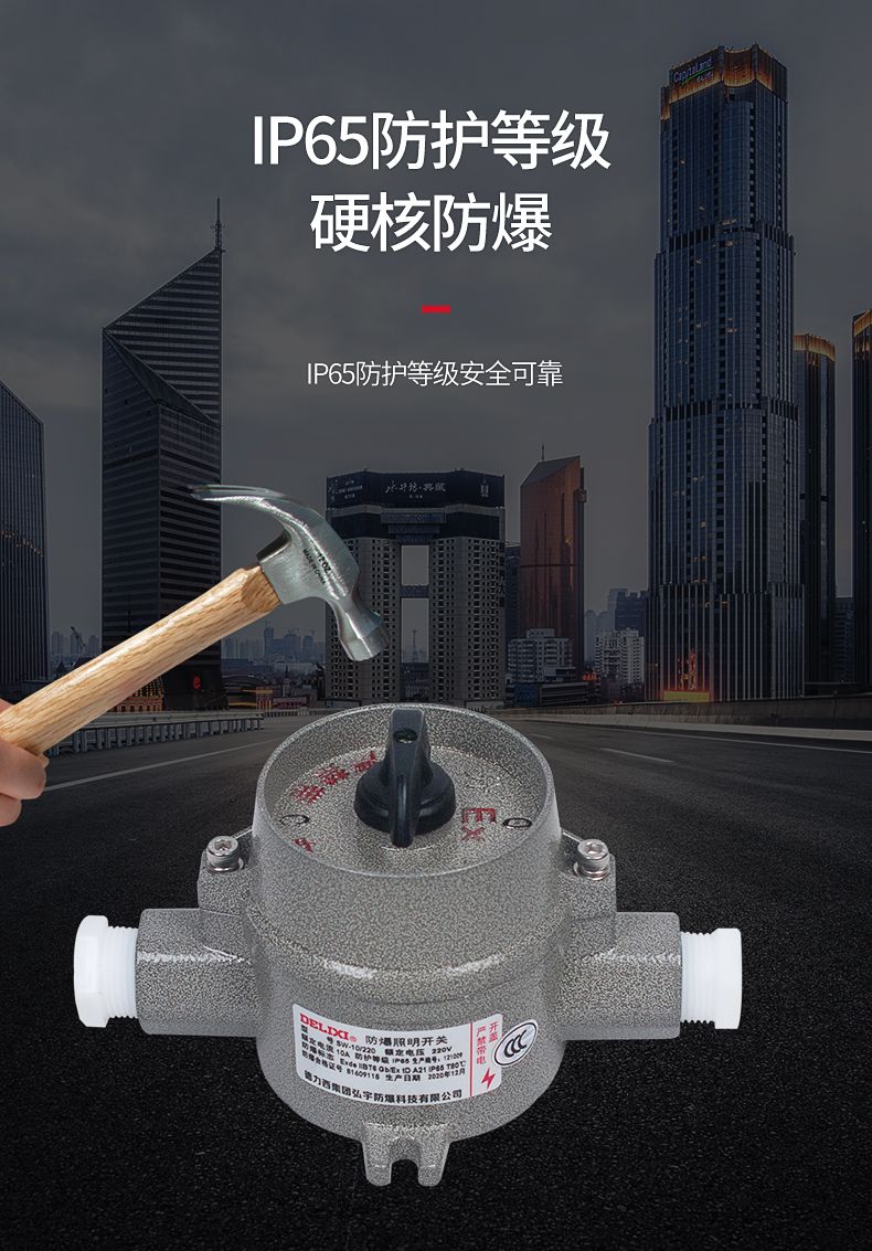 德力西SW-10防爆照明開關 壓鑄鋁合金外殼表面噴塑 增安型外殼 內裝隔爆型照明開關 防塵防水 防護等級IP65