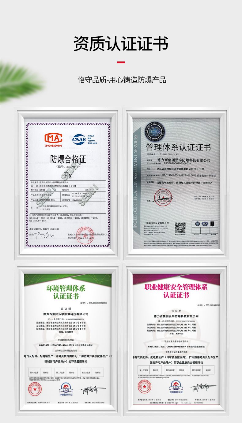 德力西SW-10防爆照明開關 壓鑄鋁合金外殼表面噴塑 增安型外殼 內裝隔爆型照明開關 防塵防水 防護等級IP65