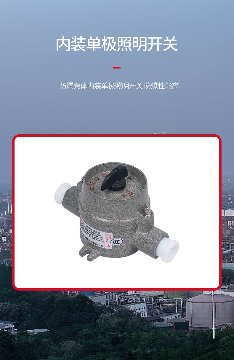 德力西SW-10防爆照明開關 壓鑄鋁合金外殼表面噴塑 增安型外殼 內裝隔爆型照明開關 防塵防水 防護等級IP65
