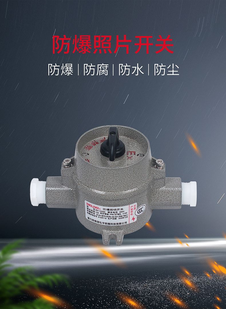 德力西SW-10防爆照明開關 壓鑄鋁合金外殼表面噴塑 增安型外殼 內裝隔爆型照明開關 防塵防水 防護等級IP65